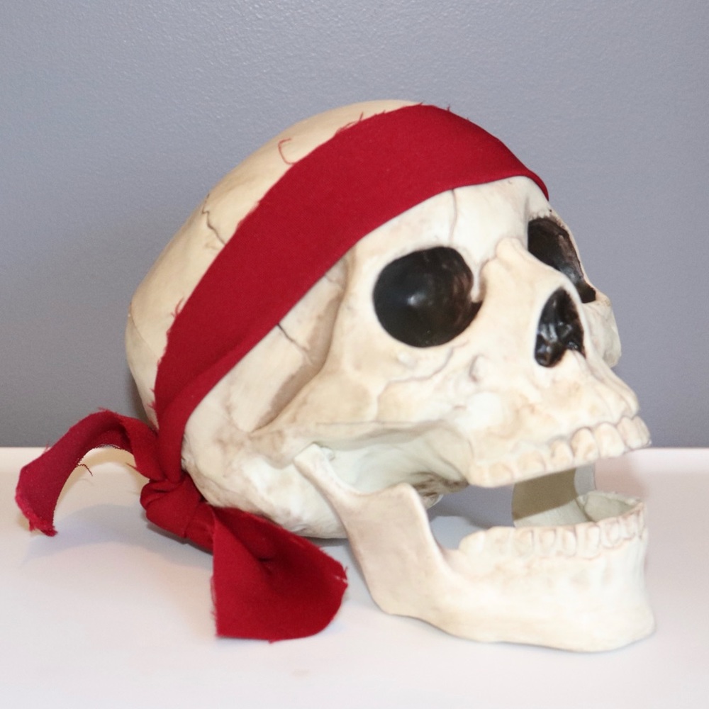 CRAZY BONEZ ANIMATED SKULL